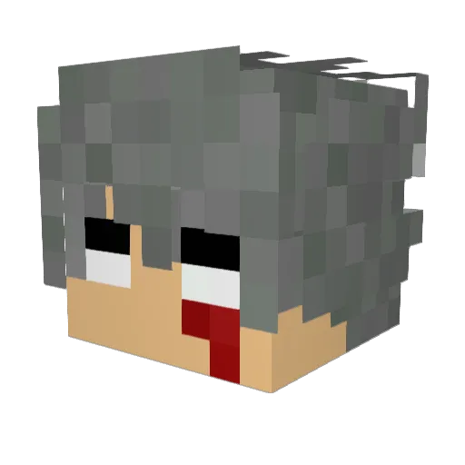 kinapuu Minecraft avatar head, 3D render