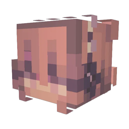 kinasai Minecraft avatar head, 3D render