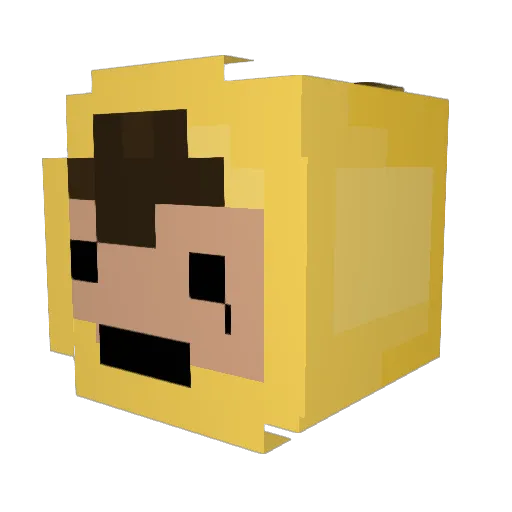 kindastonky Minecraft avatar head, 3D render
