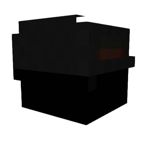 kinderfinder Minecraft avatar head, 3D render