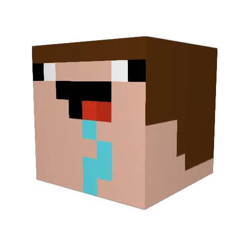 king506 Minecraft avatar head, 3D render