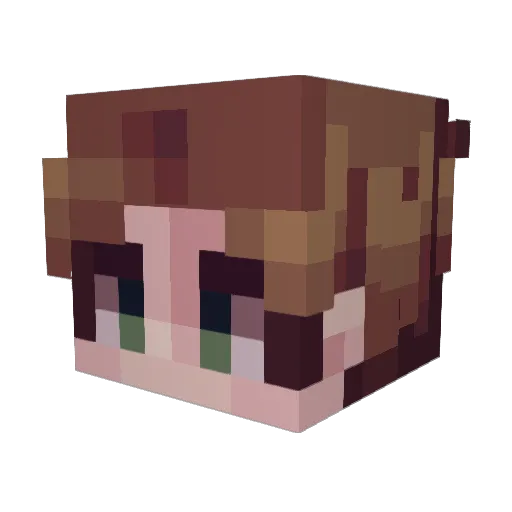 king541 Minecraft avatar head, 3D render
