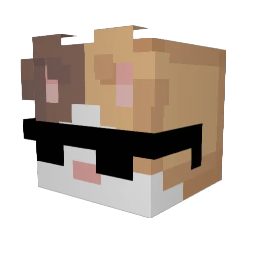 kingCatto1462 Minecraft avatar head, 3D render