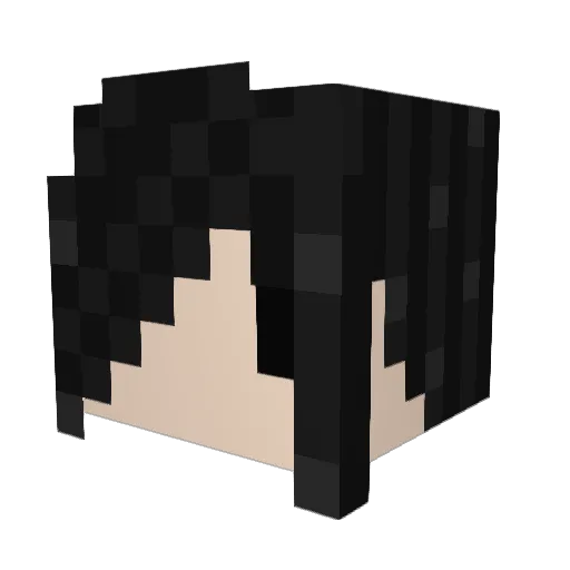 king_4207 Minecraft avatar head, 3D render