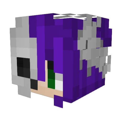king_enjoi Minecraft avatar head, 3D render