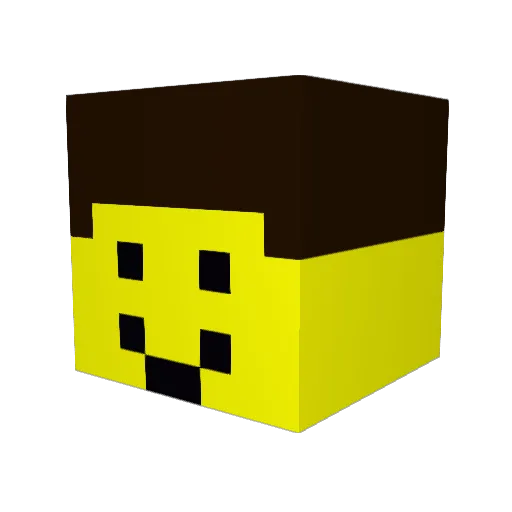 kingaaron2005 Minecraft avatar head, 3D render