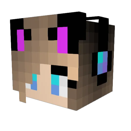 kingan00 Minecraft avatar head, 3D render