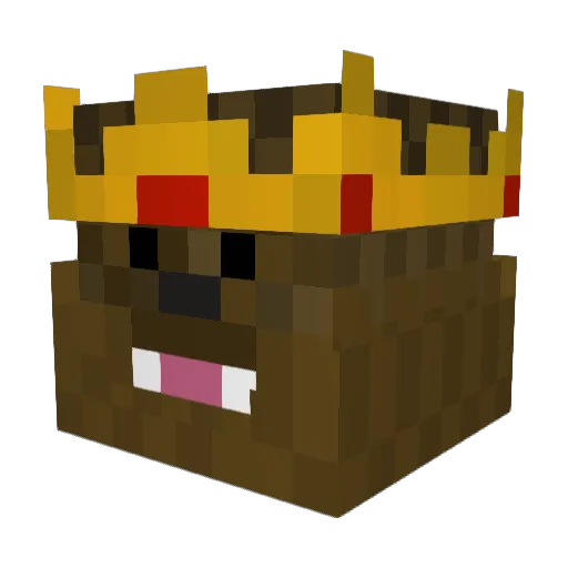 kingbacca12 Minecraft avatar head, 3D render
