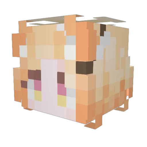 kingbananacat Minecraft avatar head, 3D render