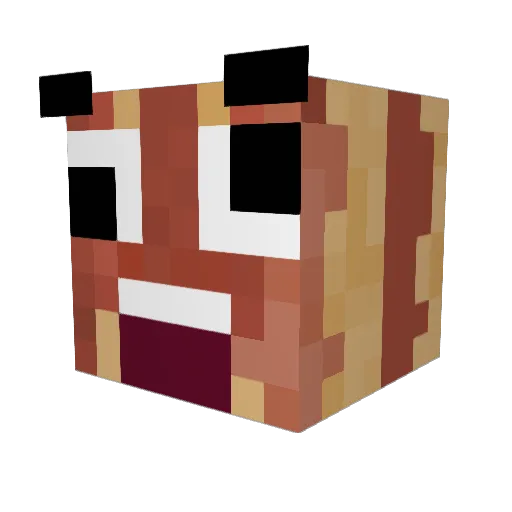 kingbomber5000 Minecraft avatar head, 3D render