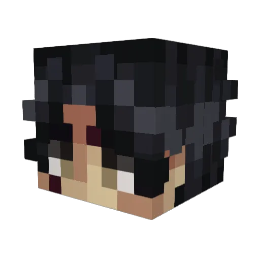 kingcat2015 Minecraft avatar head, 3D render