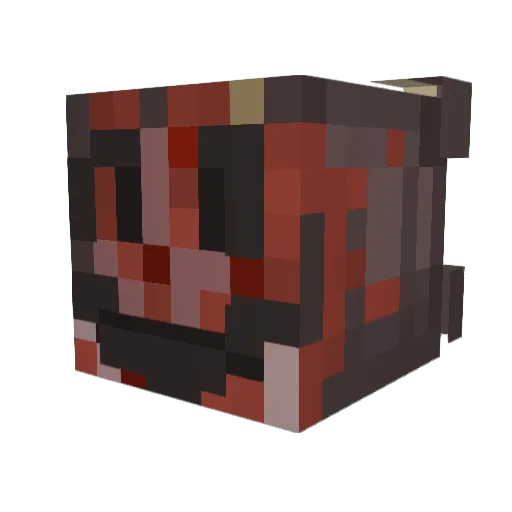 kingcrash5850 Minecraft avatar head, 3D render