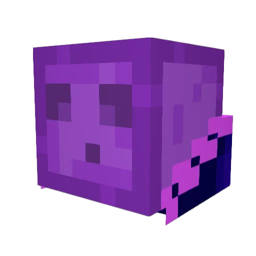 kingdom_wolf234 Minecraft avatar head, 3D render
