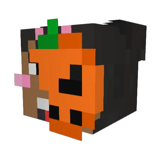 kingdownbro Minecraft avatar head, 3D render