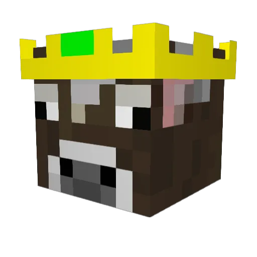 kingdz2 Minecraft avatar head, 3D render