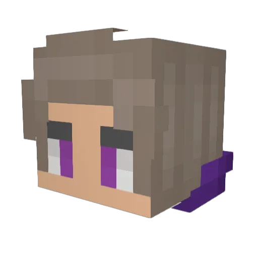 kingforrest01 Minecraft avatar head, 3D render