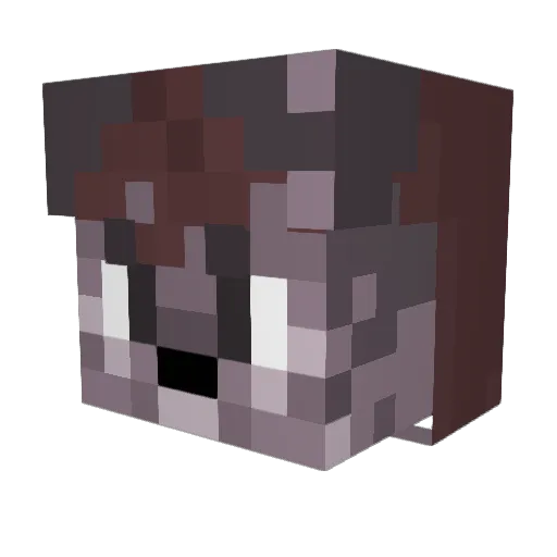 kingjule Minecraft avatar head, 3D render