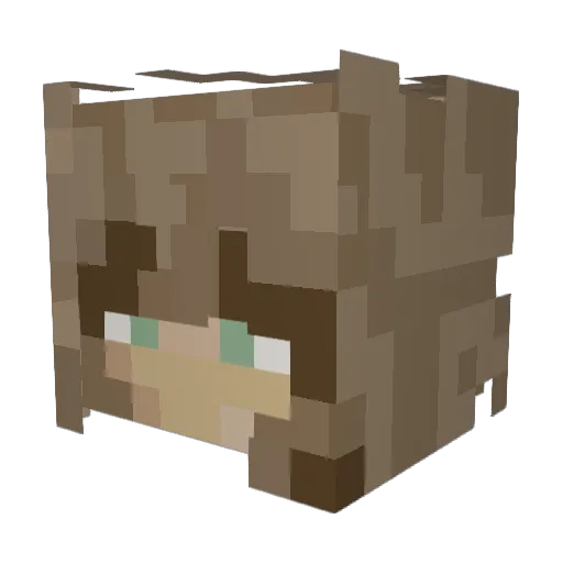 kingkaju Minecraft avatar head, 3D render