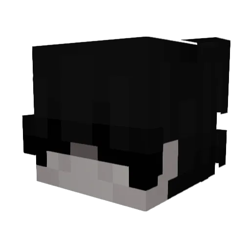 kingkoos14 Minecraft avatar head, 3D render