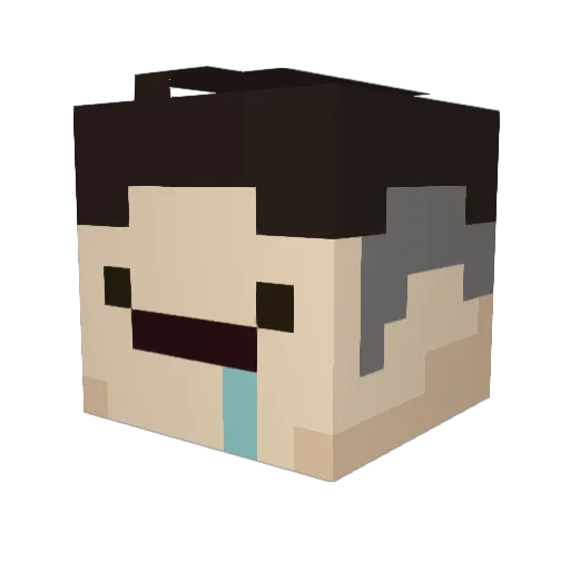 kingname_11 Minecraft avatar head, 3D render