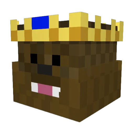 kingocheese Minecraft avatar head, 3D render