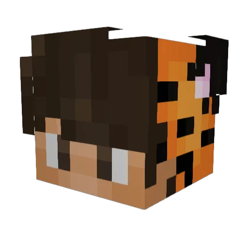 kingofbleach17 Minecraft avatar head, 3D render