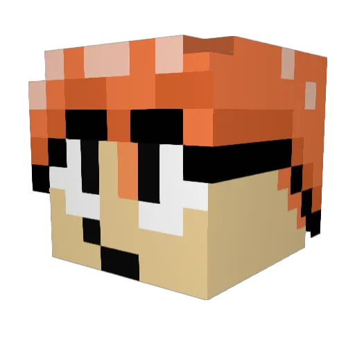 kingofporkchop Minecraft avatar head, 3D render