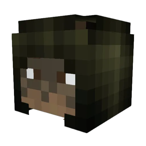 kingofrangers Minecraft avatar head, 3D render