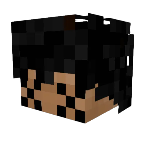 kingofsenpai Minecraft avatar head, 3D render