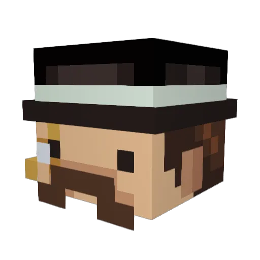 kingplayer00 Minecraft avatar head, 3D render