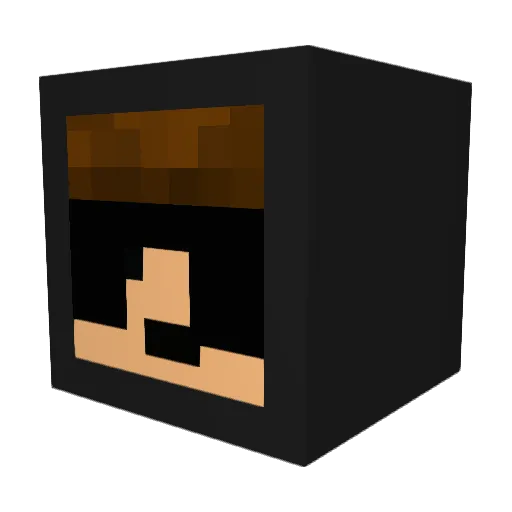kingrandom2491 Minecraft avatar head, 3D render