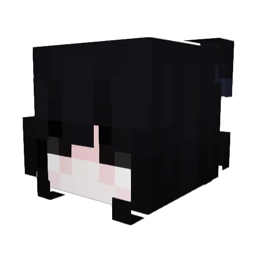kingsky9 Minecraft avatar head, 3D render