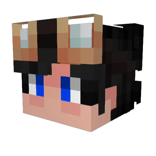 kingsumosaurus Minecraft avatar head, 3D render