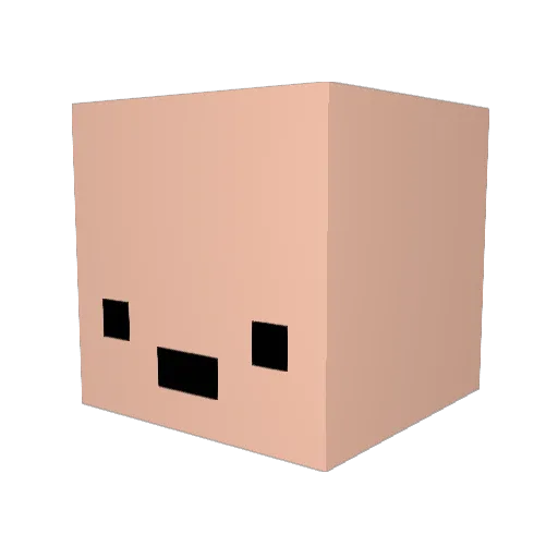 kingtroutt24 Minecraft avatar head, 3D render