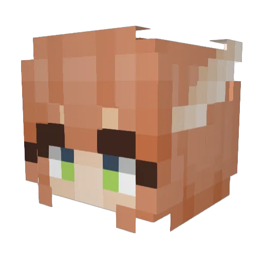 kingwilz Minecraft avatar head, 3D render