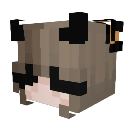 kingzues522 Minecraft avatar head, 3D render