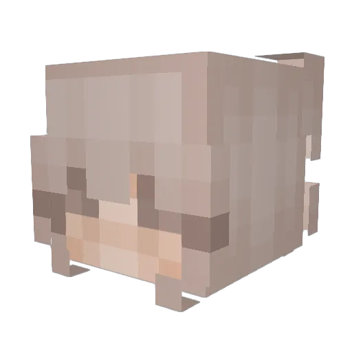 kinichi_ Minecraft avatar head, 3D render