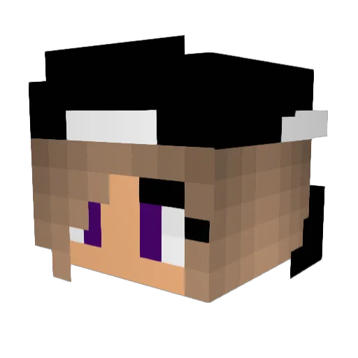 kinion_09 Minecraft avatar head, 3D render