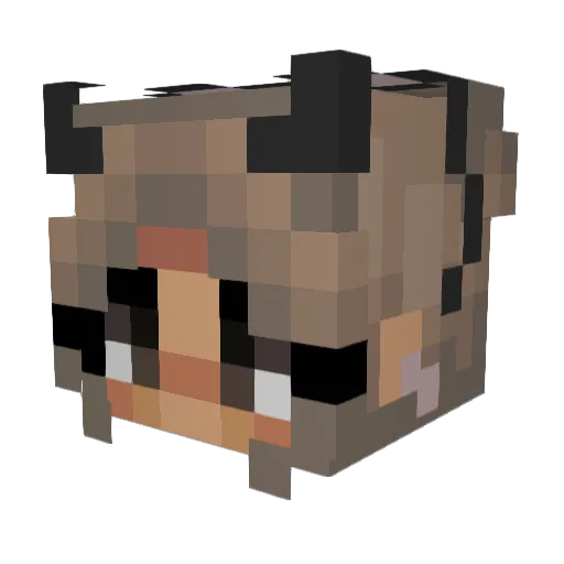 kinnda Minecraft avatar head, 3D render