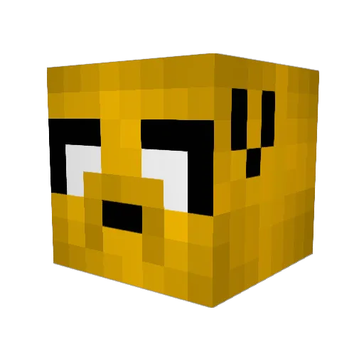 kinneybro1 Minecraft avatar head, 3D render