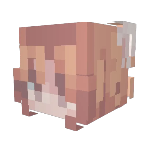 kinniekin Minecraft avatar head, 3D render