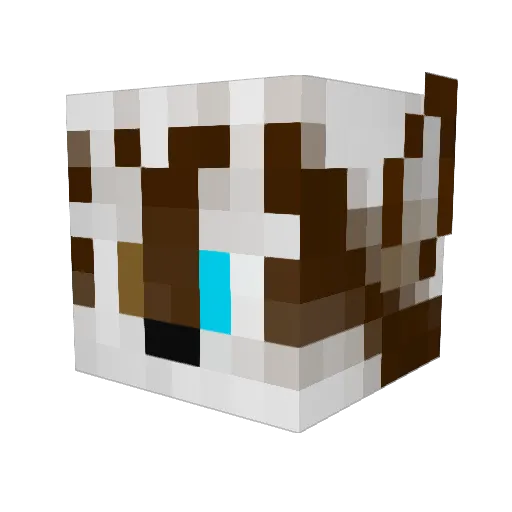 kinny7 Minecraft avatar head, 3D render