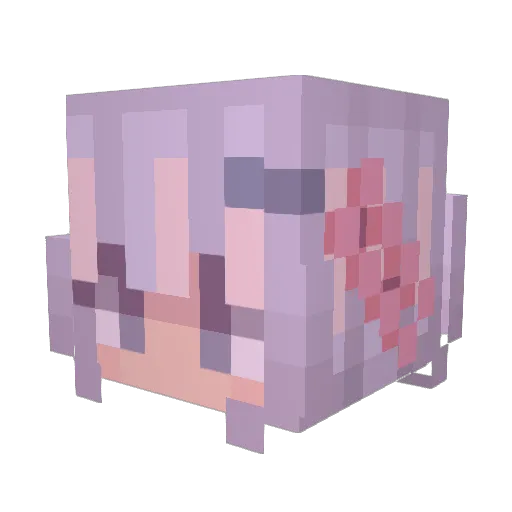 kinnzus Minecraft avatar head, 3D render