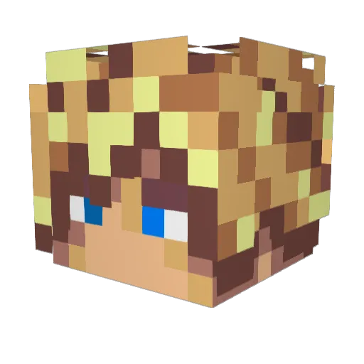 kinryu1110 Minecraft avatar head, 3D render