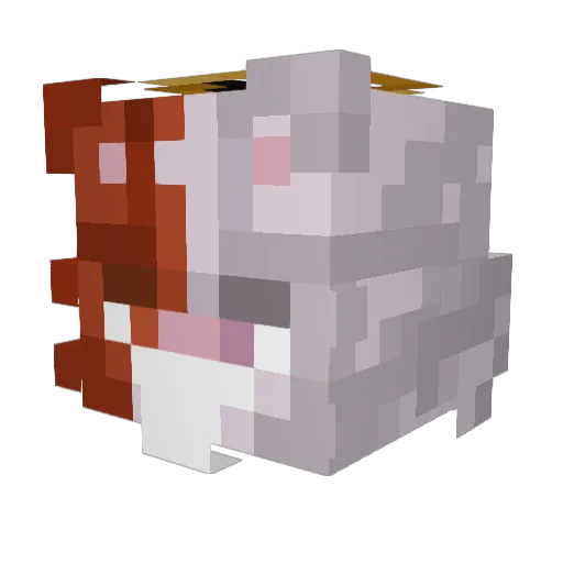 kintik_tv Minecraft avatar head, 3D render
