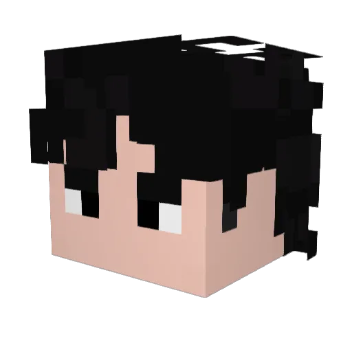 kioushs2009 Minecraft avatar head, 3D render