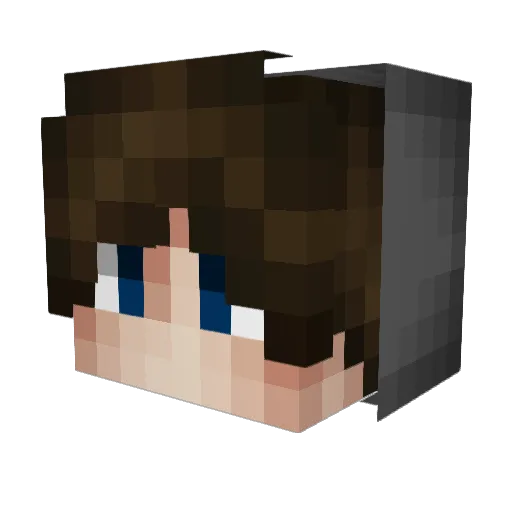 kippenbout Minecraft avatar head, 3D render