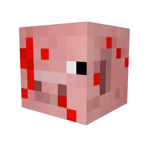kippycat Minecraft avatar head, 3D render