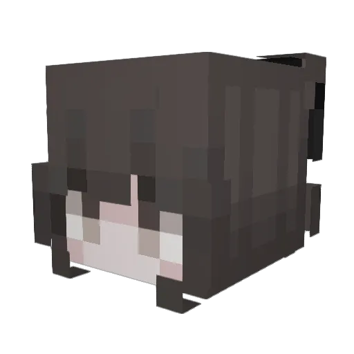 kiraAmane Minecraft avatar head, 3D render