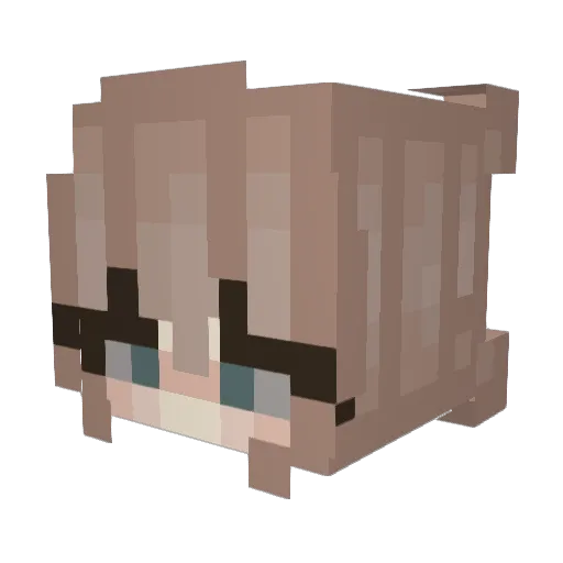 kirariin Minecraft avatar head, 3D render